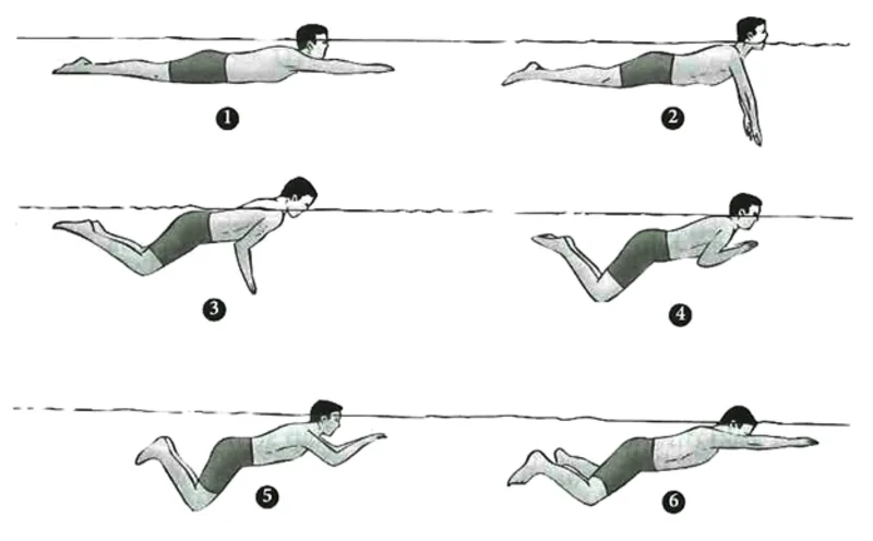 Phối hợp đúng thứ tự tay, chân và hơi thở giúp người bơi giữ nhịp ổn định hơn.